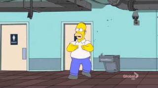 Homer - Walking on the moon.avi