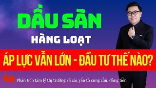 u T Chng Khon Hm Naynhn nh Th Trng Vnindexphn Tch C Phiudu Sn Hng Lot  Nt