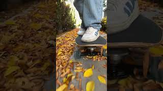 Palms Skateboard with Anna’s signature Shark Wheel