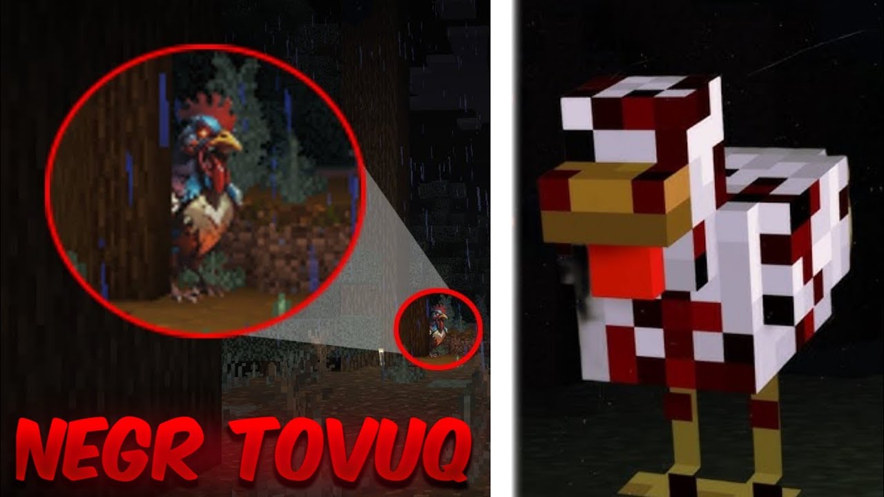 Qo'rqinchli tovuq tovushlarini eshitsangiz, o'ynashni davom ettirmang HORROR VIDIO😱