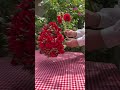طريقة تصميم بوكيه خطوبة احمر بالورد الصناعي 
