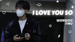 I Love You So - The Walters | Wonwoo FMV