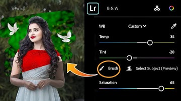 Lightroom Green And Bird Effect Photo Editing Tutorial | Lightroom Background Change Photo Editing 🔥