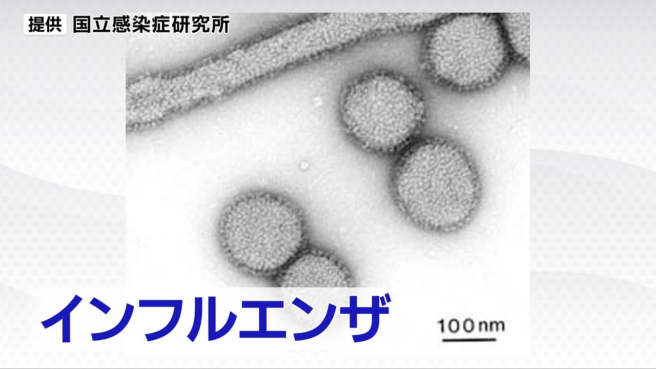 Flu Cases in Miyagi Prefecture More Than Double; Officials Urge