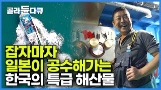 치밀하게 설계된 어장을 따라 1만 개의 통발 투하! 잡자마자 일본이 바로 공수해가는 한국의 특급 해산물!┃77톤급 배 한 척 가득찬 만선 통발 장어잡이┃바닷가 사람들┃#골라듄다큐