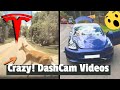 Unreal Tesla DashCam Compilation❗️Must See Car Crashes, Deer, and Rage 🚗 TeslaCam Footage