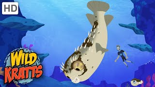 Wild Kratts | Blowfish Blowout | Full Episode | Season 2 screenshot 5