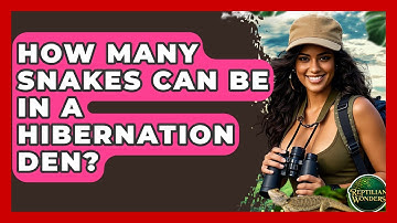 How Many Snakes Can Be In A Hibernation Den? - Reptilian Wonders