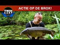 Karpervissen - Succes met de BROK!