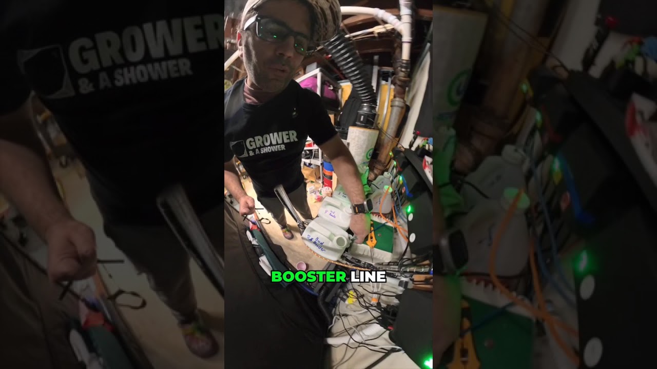 Bud Booster Week 1