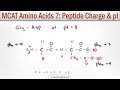 How to Calculate Peptide Charge and Isoelectric Point MCAT Trick