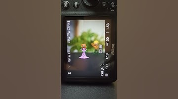 Nikon D3500 auto focus #shorts #dslr