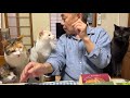 おやつまだかなあ