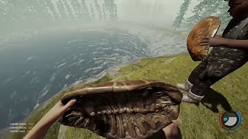 The Forest Turtle Shells OP