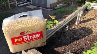 EZ Straw - Seed Straw review - Great Mulch for Southern California