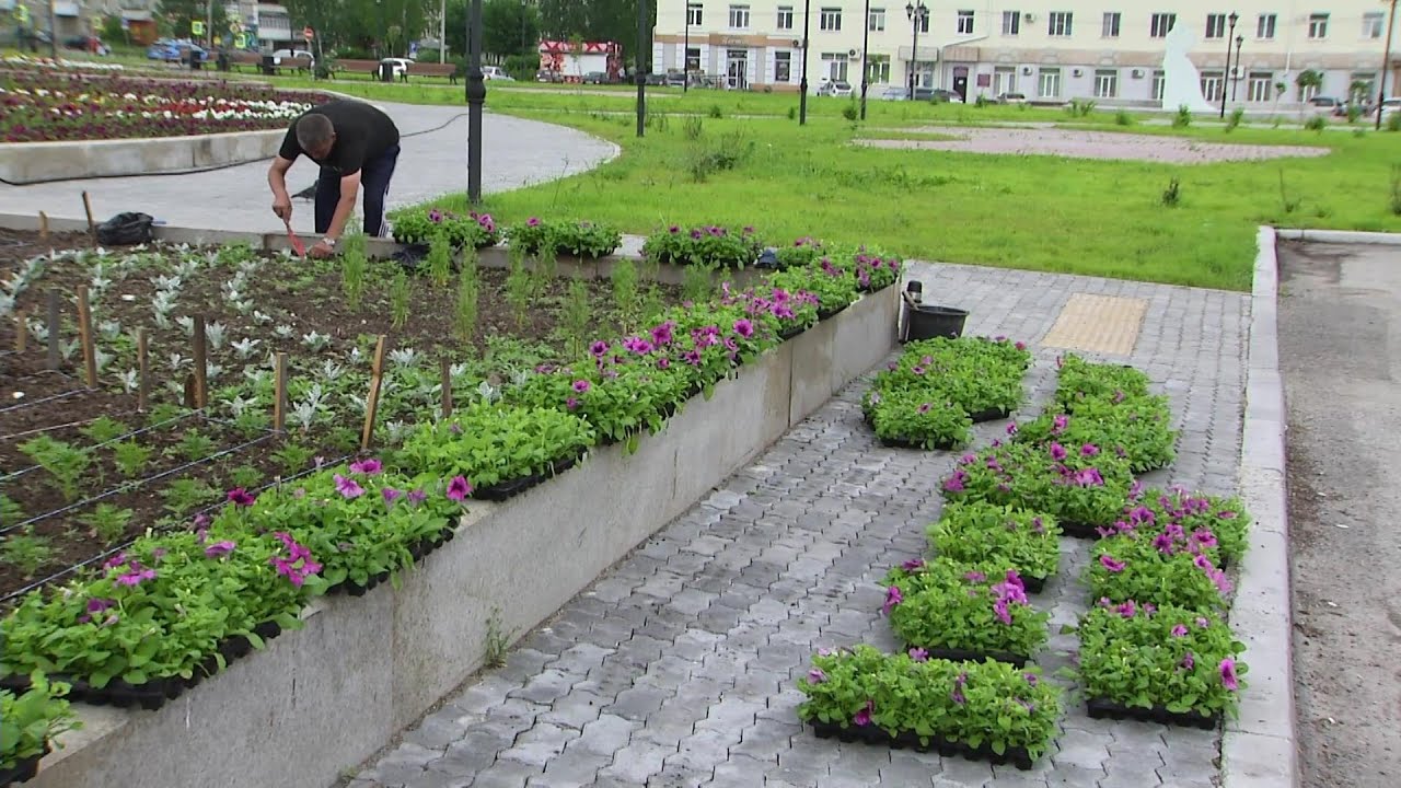 Жители говорят об ответственном отношении к благоустройству Серова #серовтв #серов