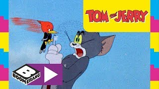 Tom and Jerry | Golf | Boomerang