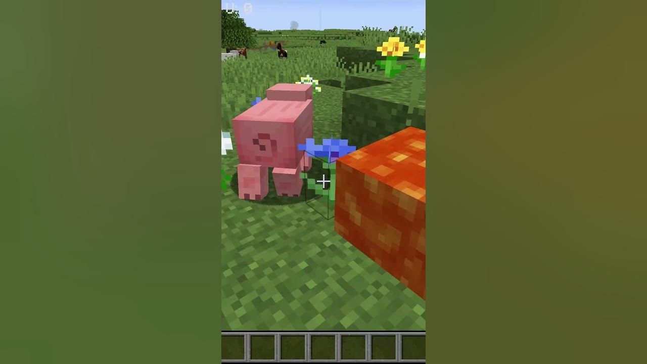 easy cooked food in Minecraft YouTube