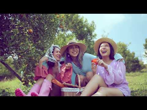 Video BẢO LỘC CENTRAL HILL - KDC - youtube