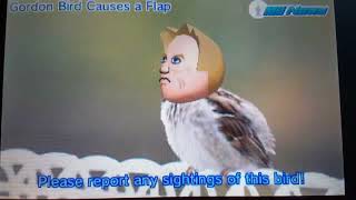 Mii News Season 1 Episode 4: Gordon Bird Causes a Flap screenshot 5