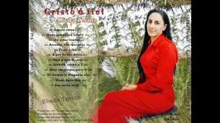 SHEILA TORINO - CD COMPLETO- VOL 01