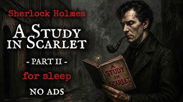 Best Narration Voice | Sherlock Holmes: A Study in Scarlet - Part 2 | Bedtime Stories