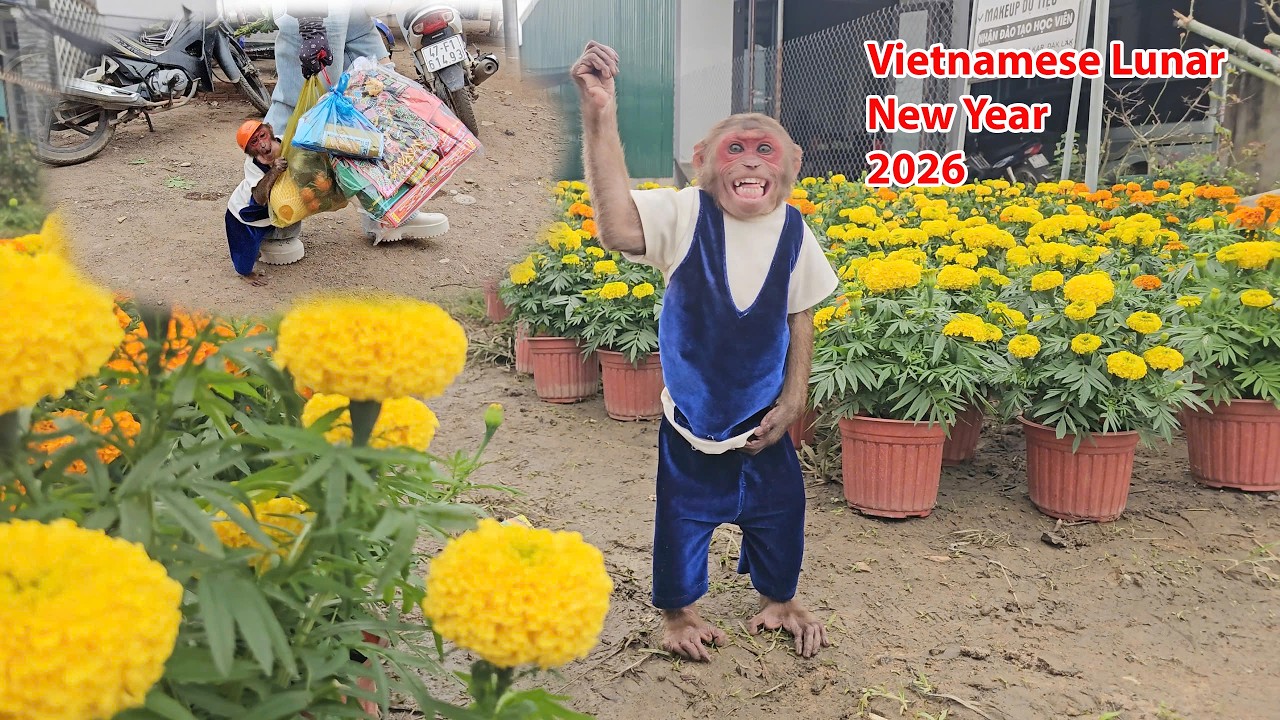 Su excited go shopping for Vietnamese Lunar New Year with mom