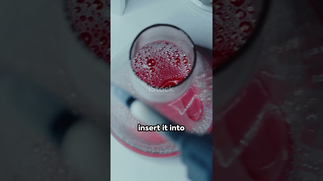 Unlocking Recombinant Proteins! 