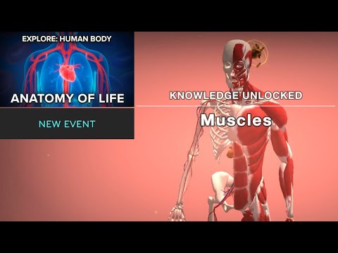 Cell to Singularity: Anatomy of Life - Event - YouTube