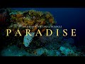 Exploring the Ocean's Secrets