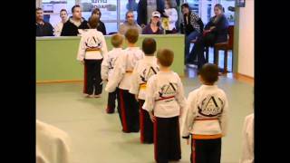 TINY TIGER & LITTLE DRAGON CLASS PART 2