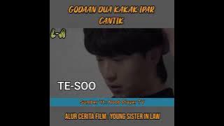 Young Sister In Law - alur cerita - moview