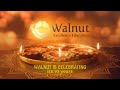 Walnut excellence 10 years of journey
