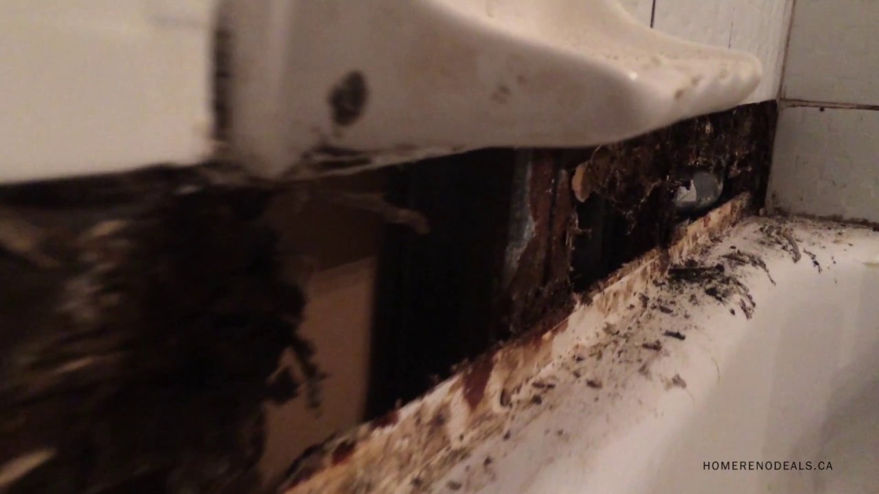 Damaged Grout and Mold Between Bathroom Tiles - YouTube