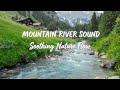 Soothing River Flow | Serene Nature Ambience for Relaxation #SleepSounds