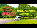 【車中泊】６０歳「ひとりと1匹」北海道ふらふら旅②