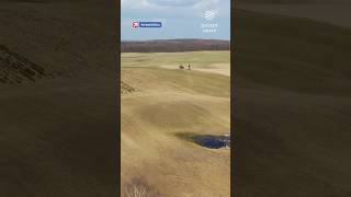 Myśliwy zastrzelił człowieka. Tragedia na polowaniu