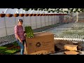 Massive Proven Winners Unboxing // Gardening with Creekside