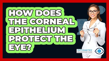 How Does The Corneal Epithelium Protect The Eye?