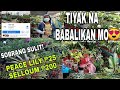 MADAMING PAGPIPILIAN NG MURANG HALAMAN DITO/SOBRANG MURA DITO/PLANT FAIRY VLOGS