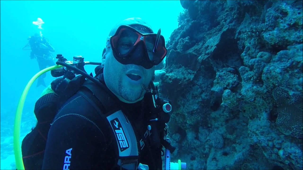 How Scuba Divers clean their Teeth YouTube