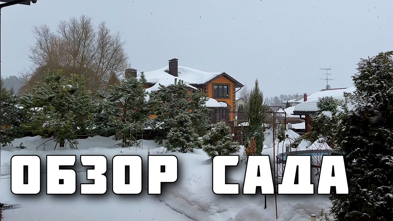 Обзор-наблюдения за садом. День за днем. Садовый дневник. Март’26