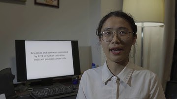 Key genes and pathways controlled by E2F1 - Video abstract [ID 217347]