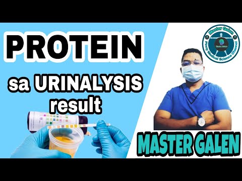 PROTEIN SA URINALYSIS, ANO ANG IBIG SABIHIN