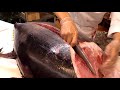 Giant Tuna Cutting Show | Amazing Sushi and Sashimi