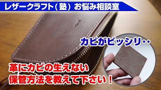 【カビ対策】革の保管方法について教えて下さい【梅雨は特に注意】