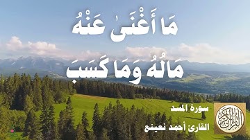 111 أحمد نعينع - سورة المسد