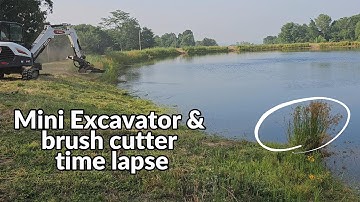 TIME LAPSE! clearing pond dam in a minute! Bobcat e42 mini excavator brush cutter