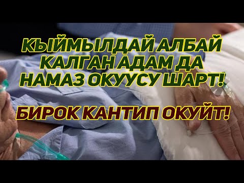 Video: Кантип кыйын учурларда болушубуз керек