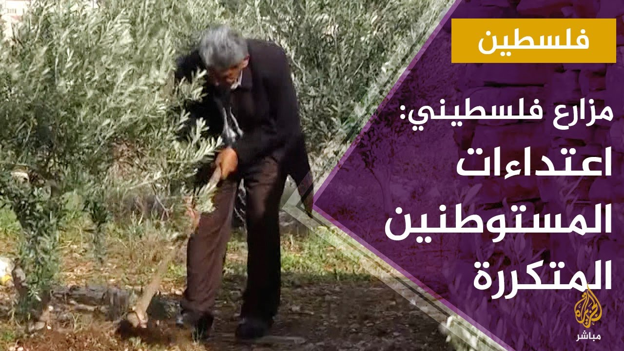 جمال حامد.. مزارع فلسطيني يعاني من اعتداءات المستوطنين المتكررة على أرضه